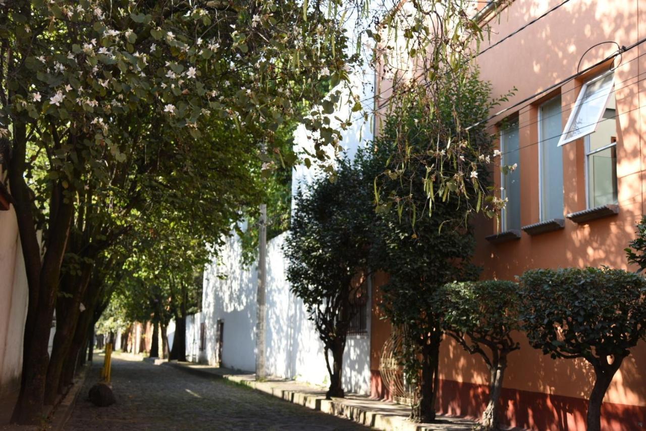 Casa Lulú Coyoacán Alvaro Obregon Exterior foto