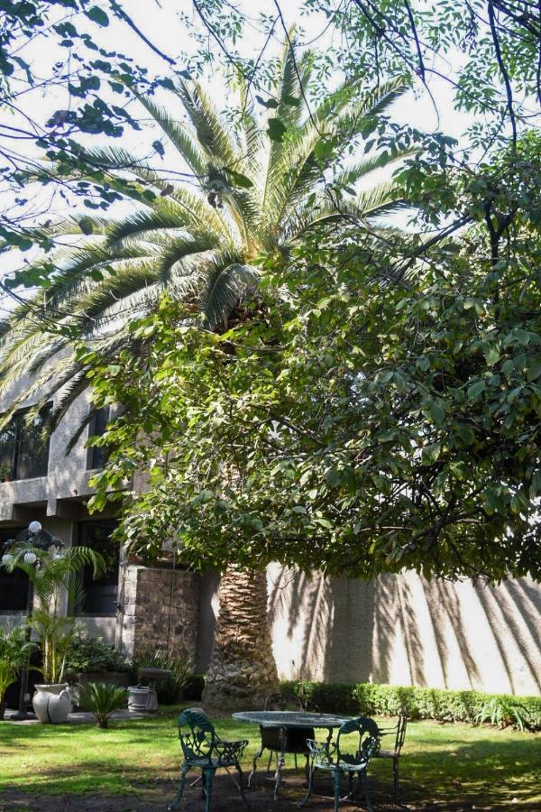 Casa Lulú Coyoacán Alvaro Obregon Exterior foto